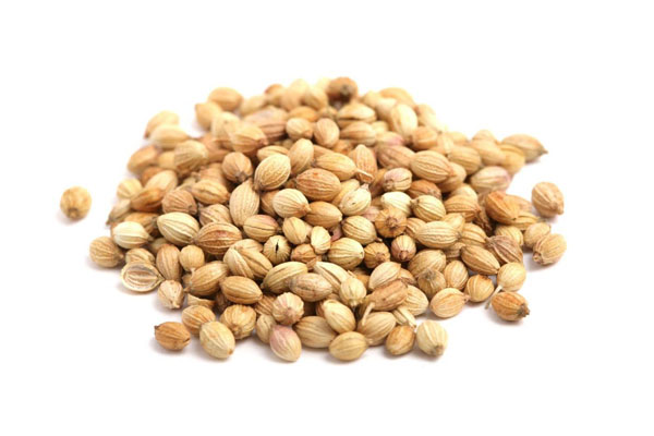Coriander