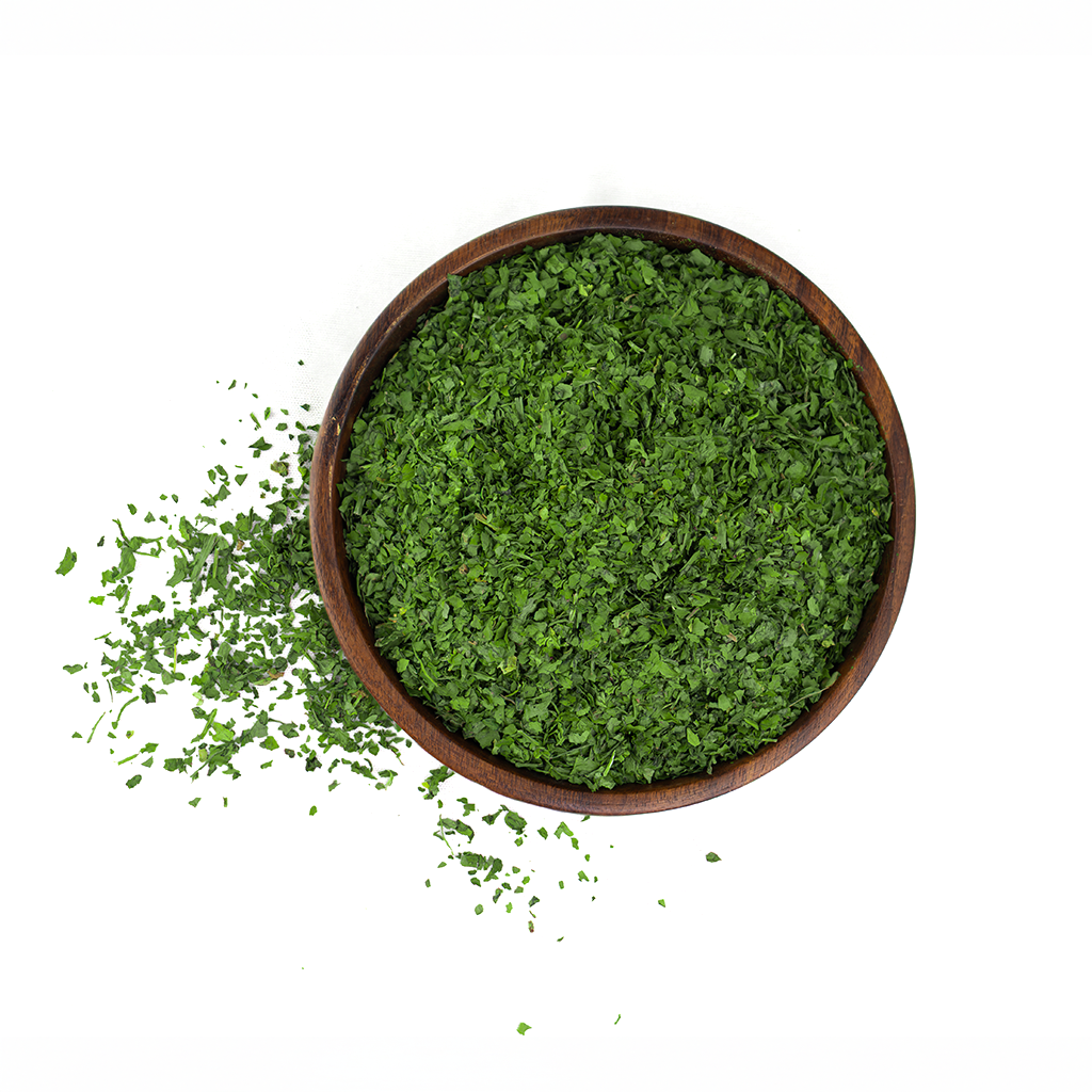 Dried Egyptian parsley for export