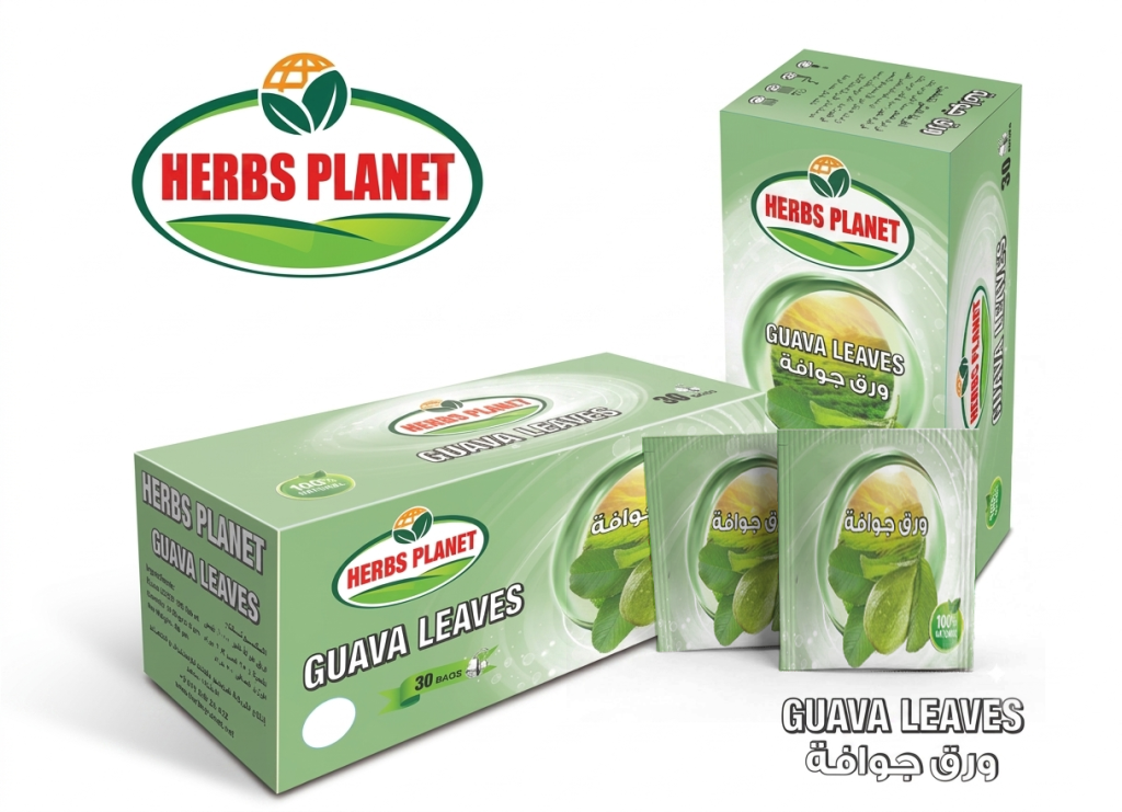 guava leaves